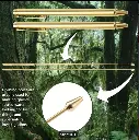 copper dowsing rods 7.webp